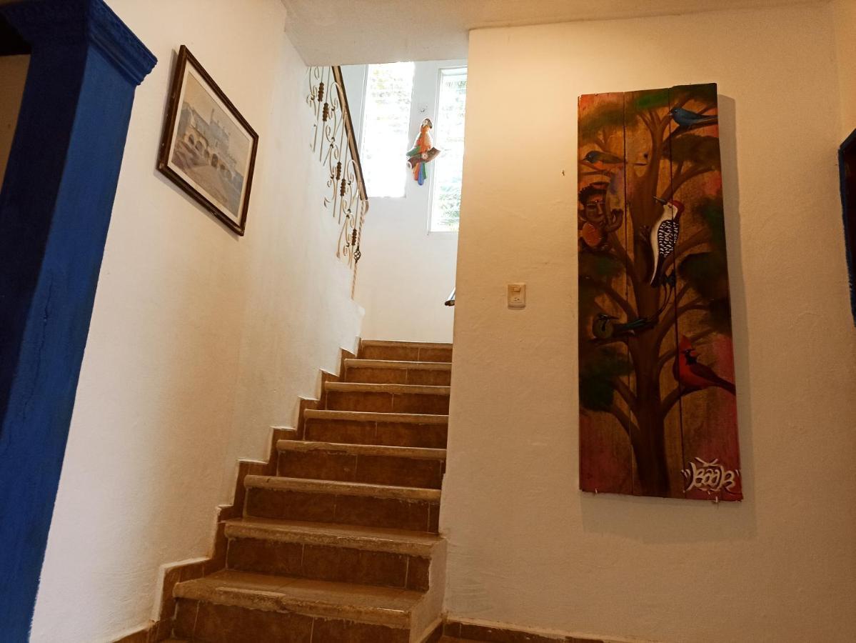 Casa De Los Pajaros - B&B Вальядолид Экстерьер фото
